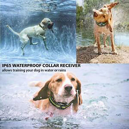Electric Dog Training Collar Dog Anti Bark Stop Rechargeable Waterproof w Remote