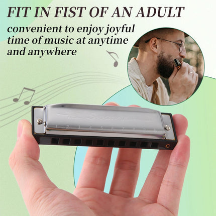 Harmonica 10 Holes Key of C SILVER w/ Case Blues Harp Stainless Steel