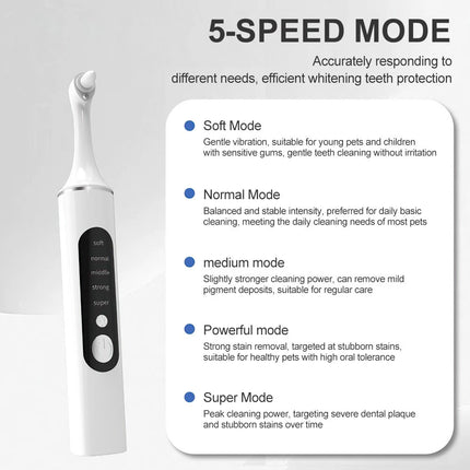 Dental Electric Teeth Polisher Cleaner Whitening Plaque Stain Remover Tool