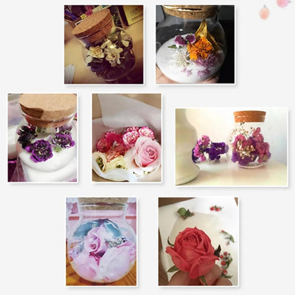 Flower Drying Silica Gel Sand Crystals Reusable Desiccant DIY Craft 500g
