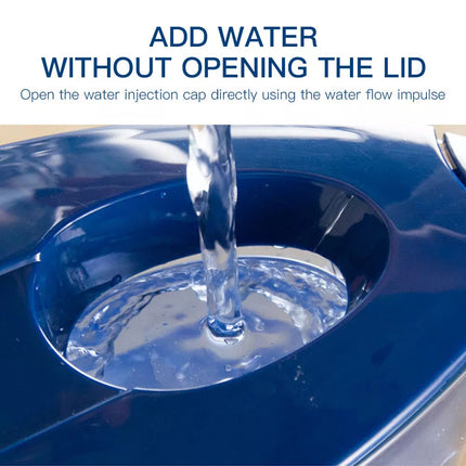 2.5L Water Purifying Jug Reduces Fluoride Toxins with Filter Cartridge