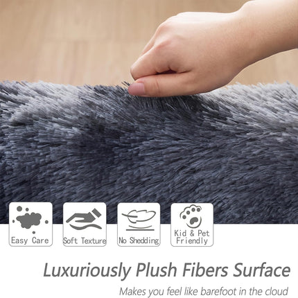 Soft Plush Dark Grey 100*160cm Floor Carpet Rug Mat, Ideal for Living Room & Bedroom