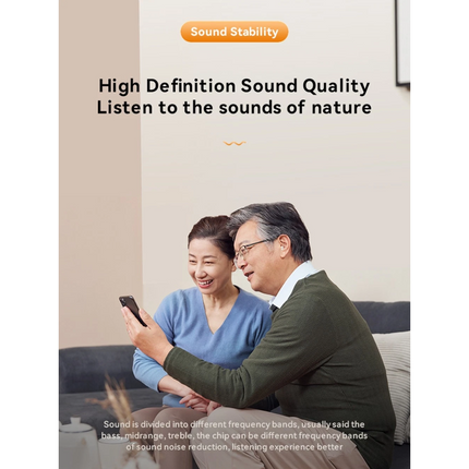 Digital Hearing Aids Mini Invisible In-Ear Headset Sound Voice Hearing Amplifier
