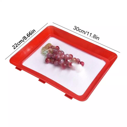 4 Pcs Reusable Healthy Food Preservation Film Tray Airtight Preserving Container