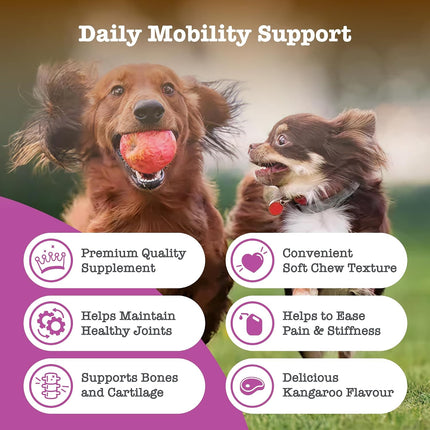 Zesty Paws Dog Travel Bundle 3-Pack 5-Chews Hip Joint Probiotic Calming