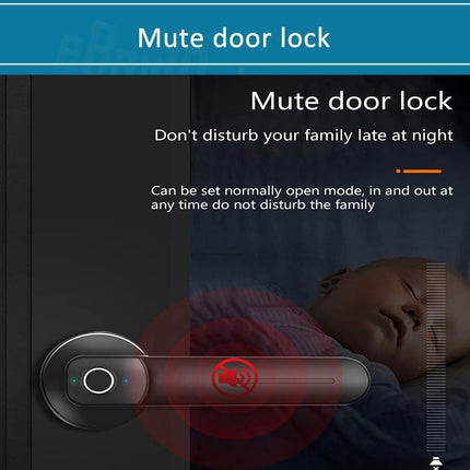 Electronic Handle Smart Fingerprint Door Lock Biometric Digital Code Door Lock