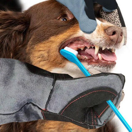 Handling Anti Bite Gloves Training Snake Cat Dog Pet Leather Safety Protective