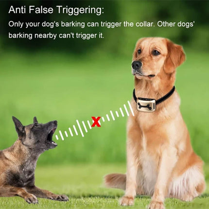 Dog Bark Collar Rechargeable Smart Anti Barking Training Collar for Dogs Gold