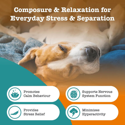 Zesty Paws Dog Calming Travel Pack 5 Chews Stress Relax Behavior Lamb
