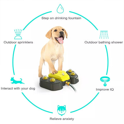 Interactive Dog Water Sprinkler Toy Outdoor Pet Drinking Fountain & Bath Shower Grey