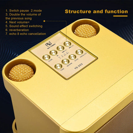 Wireless Bluetooth Speaker Home Karaoke Singing Machine Dual Microphone