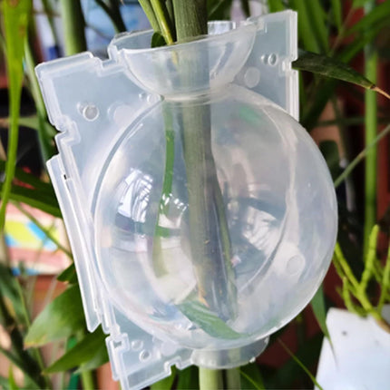 50pcs Plant Rooting Device High Pressure Propagation Ball Root Grow Grafting Box Clear Large