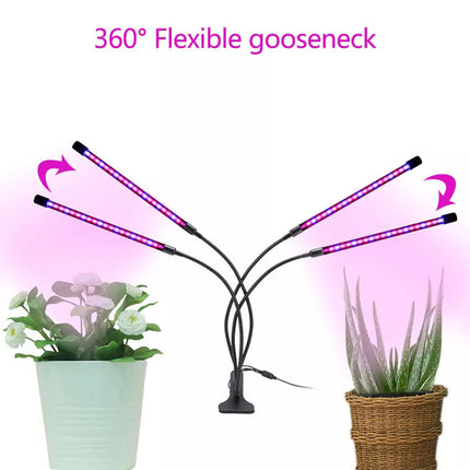 4 Head LED Grow Light with Stand for Indoor Plants Full Spectrum Plant Grow Lamp