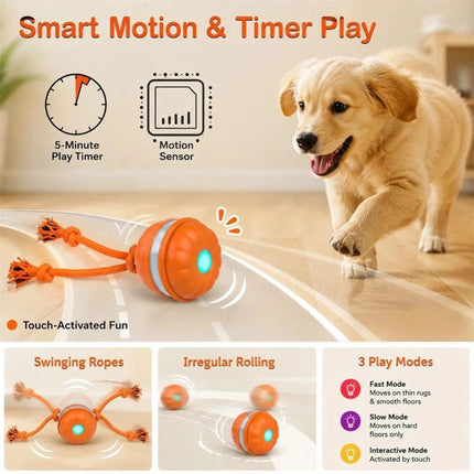 1-2PCS Interactive Smart Dog Ball with Swing Rope Tail | USB Rechargeable