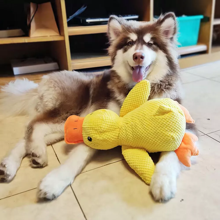 Mellow Dog Calming Duck,Durable Squeaky Dog Toy for Indoor Puppy