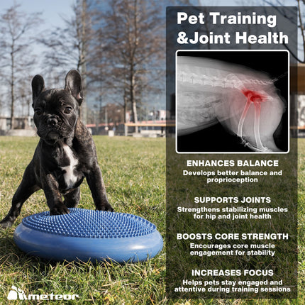 Wobble Cushion, Balance Disc, Stability Disc, Wobble Disc