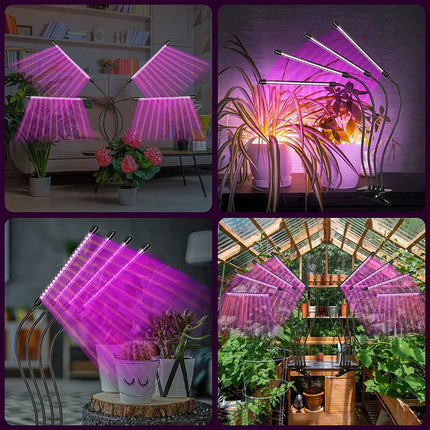 4 Head LED Grow Light with Stand for Indoor Plants Full Spectrum Plant Grow Lamp