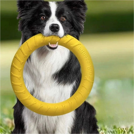 Dog Flying Ring Toy Floating Disc Outdoor Fitness Durable Interactive Chew Toys
