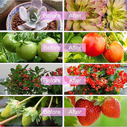 4 Head LED Grow Light with Stand for Indoor Plants Full Spectrum Plant Grow Lamp