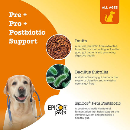 Zesty Paws Dog Probiotic Travel Pack 5 Chews Digestion Gut Health Pumpkin