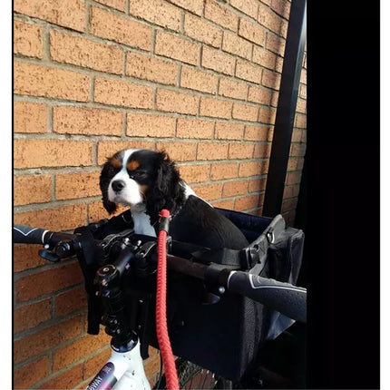 Dog Pet Travel Booster Bag Basket Cat Puppy Bike Seat Carrier With Safety Belt