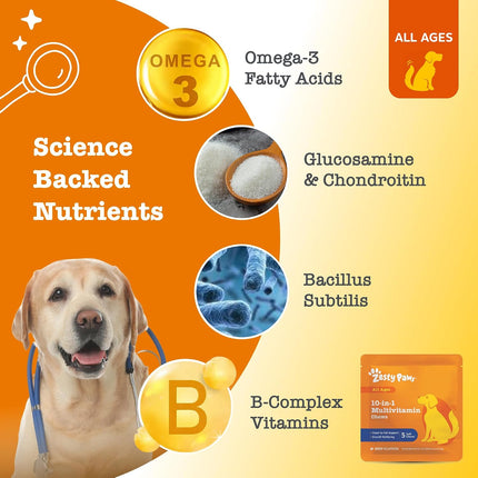 Zesty Paws Dog Multivitamin Travel Pack 5 Chews Joint Gut Skin Beef Formula