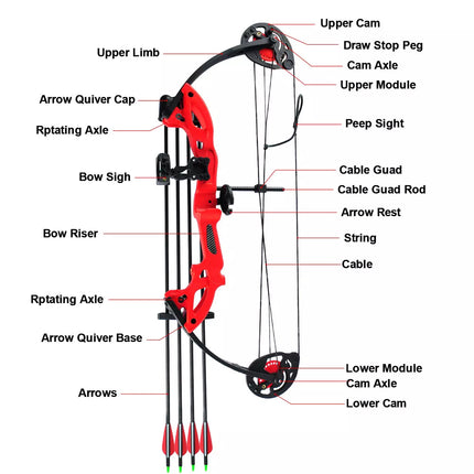 Youth Compound Bow 10-29lbs for Teenager Junior Target Hunting 10paper+10Arrows+bag Red