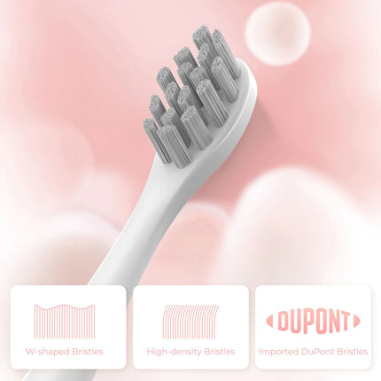 Sonic Electric Toothbrush Rechargeable 6 Modes 8 Brush Heads 2 Min Timer