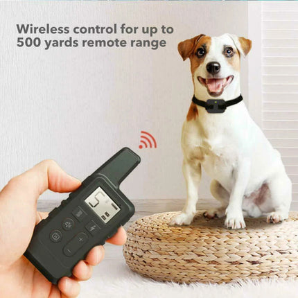 Anti-Bark Electric Shock Pet Dog Training E-Collar Obedience Remote Control Orange