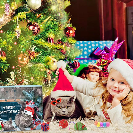 Cat Advent Calendar Christmas Countdown Calendar for Kitten Toys 24 PCS