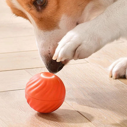 Boujee Gravity Bounce Ball,Boujeeflow Dog Ball,Interactive Vibrating Dog Balls