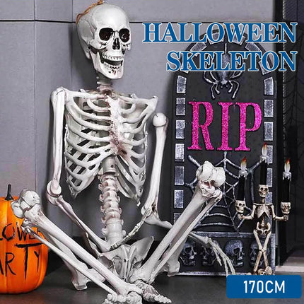 170cm Halloween Poseable Skeleton Full Life Size Human Skeleton Decoration Prop
