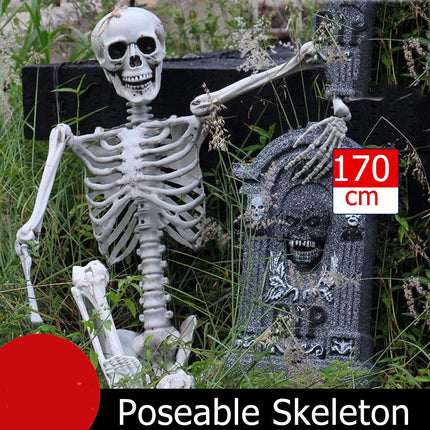 170cm Halloween Poseable Skeleton Full Life Size Human Skeleton Decoration Prop