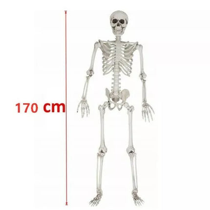 170cm Halloween Poseable Skeleton Full Life Size Human Skeleton Decoration Prop