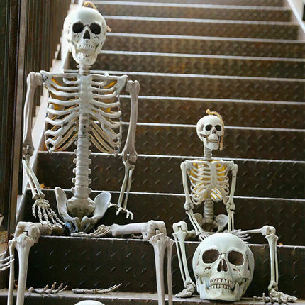 170cm Halloween Poseable Skeleton Full Life Size Human Skeleton Decoration Prop