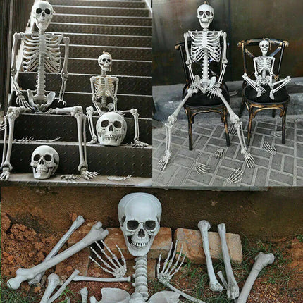 170cm Halloween Poseable Skeleton Full Life Size Human Skeleton Decoration Prop