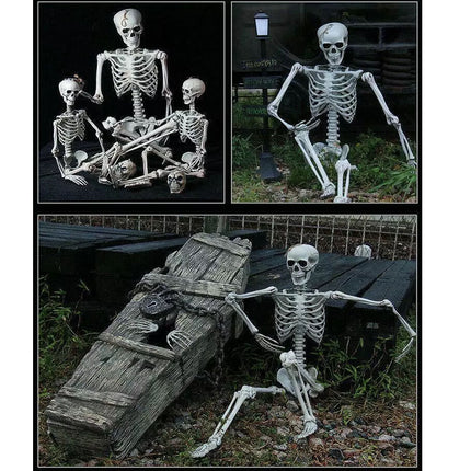 170cm Halloween Poseable Skeleton Full Life Size Human Skeleton Decoration Prop