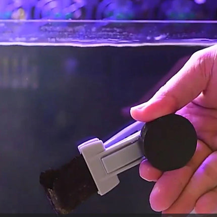 Fish Tank Seaweed Vegetable Clip  Fish Tank Feeding Clip Aquarium Tool