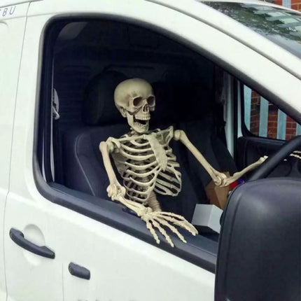 170cm Halloween Poseable Skeleton Full Life Size Human Skeleton Decoration Prop
