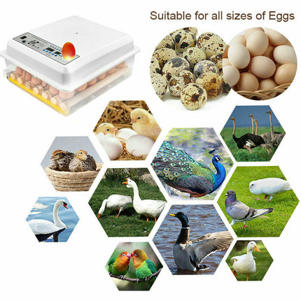 36 Egg Incubator Fully Automatic Egg Turning Hatcher Quail Chicken Duck