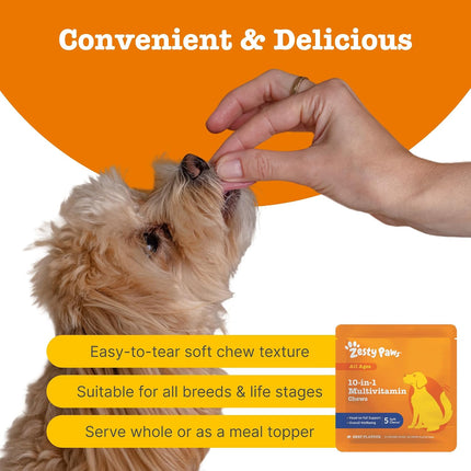 Zesty Paws Dog Multivitamin Travel Pack 5 Chews Joint Gut Skin Beef Formula