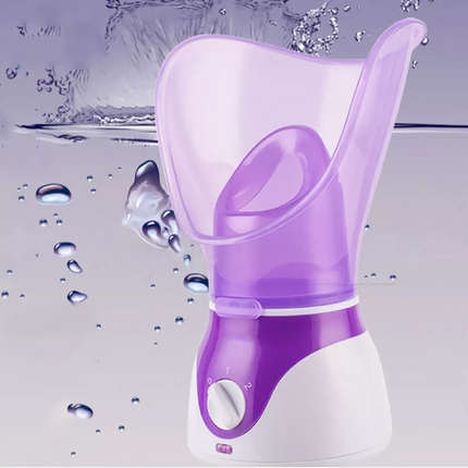 Face Nymph Spa Home Facial Steamer Sauna Pores Office Deep Cleanse Skin Care SPA