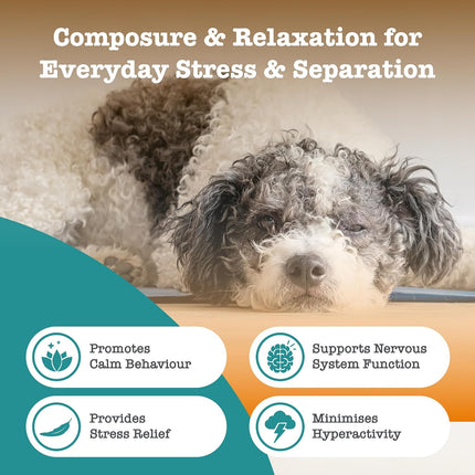 Zesty Paws Dog Mixed 3-Pack Probiotic Multivitamin Calming 15 Travel Chews