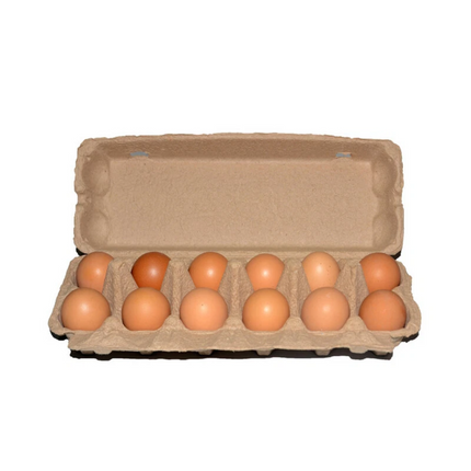 100 X Egg Cartons Each Holds12 Eggs Full Durable Dozen New Carton Brown Storage