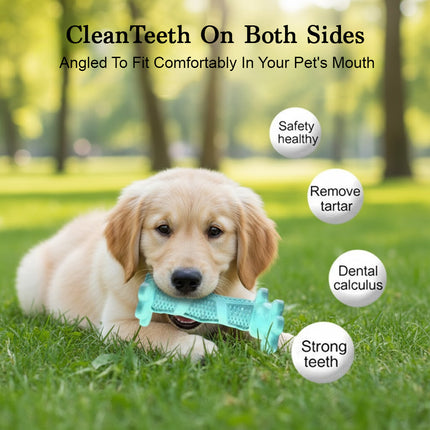Teal L Size Dog Toothbrush Toy Clean Teeth Brushing Stick Mouth Chewing Dental Care Play Dog