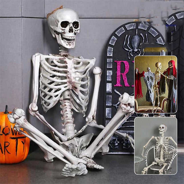 170cm Halloween Poseable Skeleton Full Life Size Human Skeleton Decoration Prop
