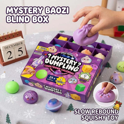 Fidget Mystery Dumpling Advent Calendar Adults Christmas Gift 24 Days Dumpling Toys Countdown