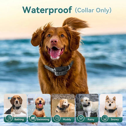 Anti Barkingelectric Shock Dog Pet Training Electroniccollarobeys Remote