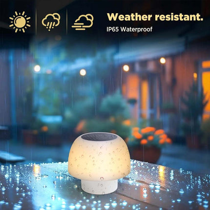 Solar & USB Rechargeable LED Table Lamp Portable Night Light