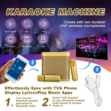 Wireless Bluetooth Speaker Home Karaoke Singing Machine Dual Microphone